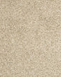Diffurent Choice I 32oz Pet Friendly Carpet