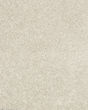 Diffurent Choice II 45oz Pet Friendly Carpet