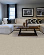 Diffurent Choice III 58oz Pet Friendly Carpet