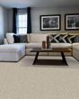 Diffurent Choice III 58oz Pet Friendly Carpet