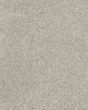 Diffurent Choice III 58oz Pet Friendly Carpet
