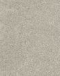 Diffurent Choice III 58oz Pet Friendly Carpet