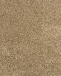 Diffurent Choice I 32oz Pet Friendly Carpet