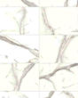 di Pietra Calacatta Marble Porcelain Tile