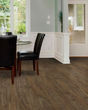 Discovery Ridge SolidTech Essentials Bonbon Luxury Vinyl