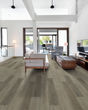 Distinction Plus Light Pine Luxury Vinyl