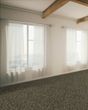 Dove Creek SmartStrand Textured 45oz Carpet