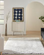 Dreamy Shag DRS03 Ivory/Grey Area Rug