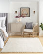 Dreamy Shag DRS05 Ivory Area Rug