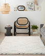 Dreamy Shag DRS07 Ivory Area Rug