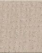 Vivid Memories Patterned Nylon 43oz Carpet