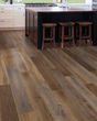 Explorers Cove SolidTech Select Shadow Woodlands Luxury Vinyl