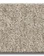Emergence Patterned Pet Friendly 39oz Carpet