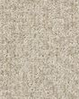 Emergence Patterned Pet Friendly 39oz Carpet
