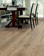 Endura Plus Wild Dunes Luxury Vinyl