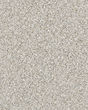 Estes Park Textured Nylon 38oz Carpet