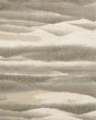 Evolution 982c Beige/Ivory Area Rug