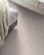 Expertise Textured 48oz Pet Friendly Carpet