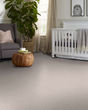 Expertise Textured 48oz Pet Friendly Carpet