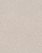 Expertise Textured 48oz Pet Friendly Carpet