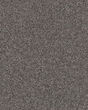 Expertise Sentimental 48.7oz Textured Carpet