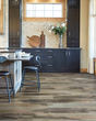 Explorers Cove SolidTech Select Raccoon Luxury Vinyl