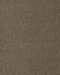 Exquisite Reputation SmartStrand 45oz Carpet