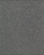 Fashion Culture Textured SmartStrand Carpet