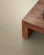 Fetch Pet Friendly Nylon 31oz Pattern Carpet
