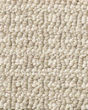 Fetch Pet Friendly Nylon 31oz Pattern Carpet