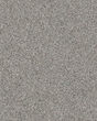Find Your Comfort Accent II Nylon Carpet