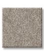 Flawless Beauty II Mocha Textured Pet Friendly Carpet