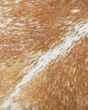 FP0002 Beige/White 36" Pillow