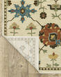 Francesca fr02m Ivory/Multi Area Rug
