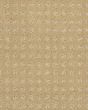 Fuji Nylon Patterned 34oz Carpet