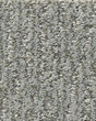 Fur-Ever Pet Friendly Nylon Carpet