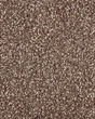 Subtle Tones Textured SmartStrand 57oz Carpet