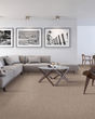 Subtle Tones Textured SmartStrand 57oz Carpet