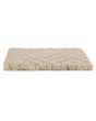Classic Frame SmartStrand 40oz Carpet