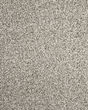 Detailed Statement Textured SmartStrand Carpet