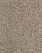 Detailed Statement Textured SmartStrand Carpet