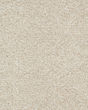 Stylish Connection Textured 45oz Nylon Carpet