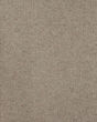 Carramar II 100% Wool Textured 46oz Carpet