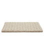 Enduring Statement SmartStrand 36oz Carpet