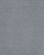 Opulent Tradition Textured Nylon 65oz Carpet
