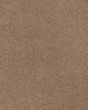 Opulent Tradition Textured Nylon 65oz Carpet
