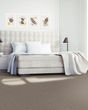 Luxurious Hues Textured SmartStrand 55oz Carpet