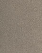 Luxurious Hues Textured SmartStrand 55oz Carpet