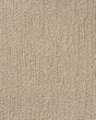 True North Patterned Nylon Blend Carpet