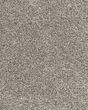 Candor SmartStrand Textured 43oz Carpet